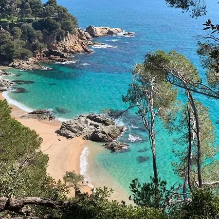 Fenals Beach&chic, Boutique Apartament, Free Parking, Full Equipped Near The 아파트 료렛 드 마르