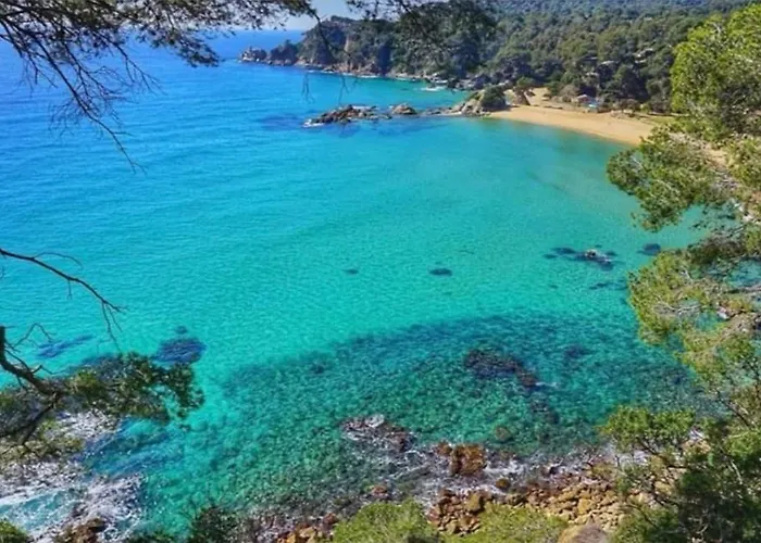 Fenals Beach&chic, Boutique Apartament, Free Parking, Full Equipped Near The Appartement *